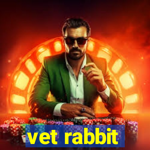 vet rabbit